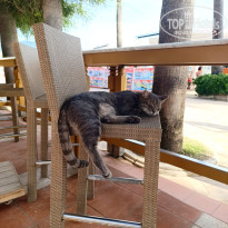 фото из отзыва ID 2739268