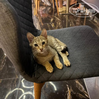 фото из отзыва ID 2739253