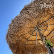 фото из отзыва ID 2739272