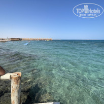 фото из отзыва ID 2739272