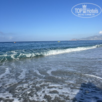 фото из отзыва ID 2739283