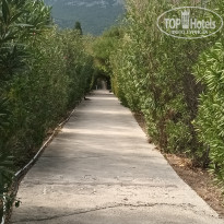 фото из отзыва ID 2739295