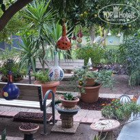 фото из отзыва ID 2739295