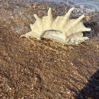 фото из отзыва ID 2739298