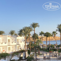 фото из отзыва ID 2739311