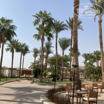 фото из отзыва ID 2739311