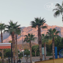 фото из отзыва ID 2737920