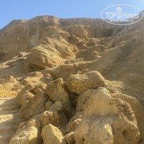 фото из отзыва ID 2739327