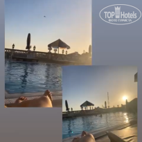 фото из отзыва ID 2739328