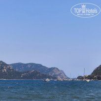 фото из отзыва ID 2739165