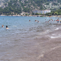 фото из отзыва ID 2739165