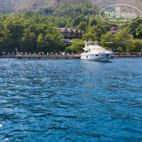 фото из отзыва ID 2739165