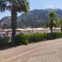 фото из отзыва ID 2739165