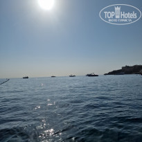 фото из отзыва ID 2739369