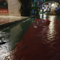 фото из отзыва ID 2739384