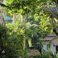 фото из отзыва ID 2738980