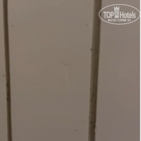 фото из отзыва ID 2739394