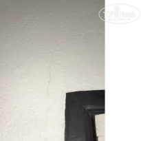 фото из отзыва ID 2739394