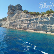 фото из отзыва ID 2739395