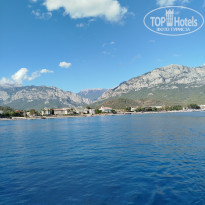 фото из отзыва ID 2739395