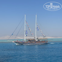 фото из отзыва ID 2739402