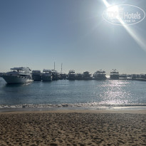 фото из отзыва ID 2739402