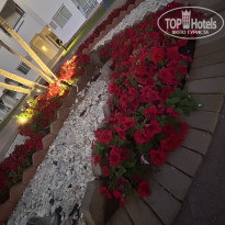 фото из отзыва ID 2739402