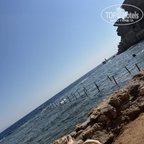 фото из отзыва ID 2739402