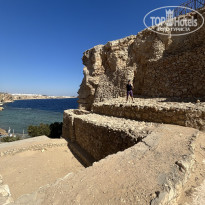 фото из отзыва ID 2739402