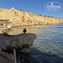 фото из отзыва ID 2739402