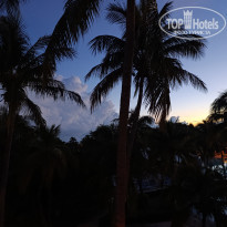 фото из отзыва ID 2739405