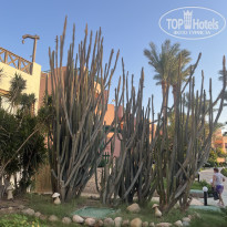 фото из отзыва ID 2739409