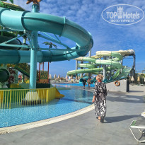 фото из отзыва ID 2739413