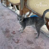 фото из отзыва ID 2739412