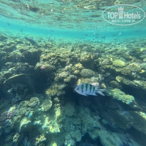 фото из отзыва ID 2739412