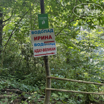 фото из отзыва ID 2739414