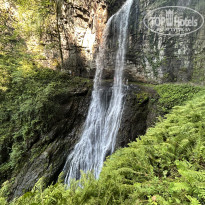 фото из отзыва ID 2739414