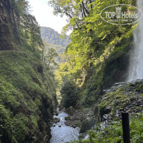 фото из отзыва ID 2739414