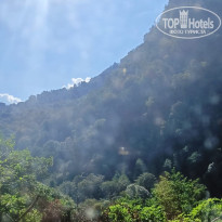 фото из отзыва ID 2739414