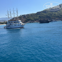 фото из отзыва ID 2739423