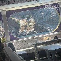 фото из отзыва ID 2739423