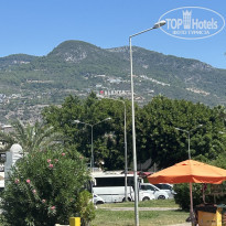 фото из отзыва ID 2739423