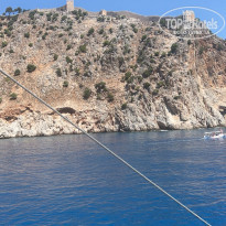 фото из отзыва ID 2739423