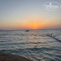 фото из отзыва ID 2739442