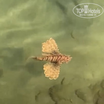 фото из отзыва ID 2739447