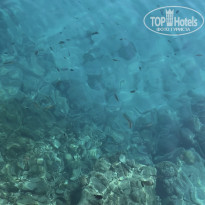 фото из отзыва ID 2739447