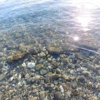 фото из отзыва ID 2739446