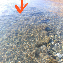 фото из отзыва ID 2739446