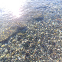 фото из отзыва ID 2739446