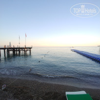 фото из отзыва ID 2739446